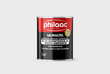 Cargar imagen en el visor de la galería, Pintura acrílica para exteriores y fachadas
